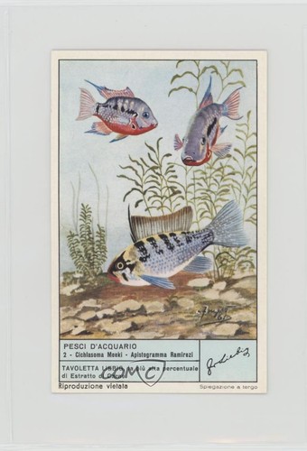 Pesce acquario liebig anni - liebig,